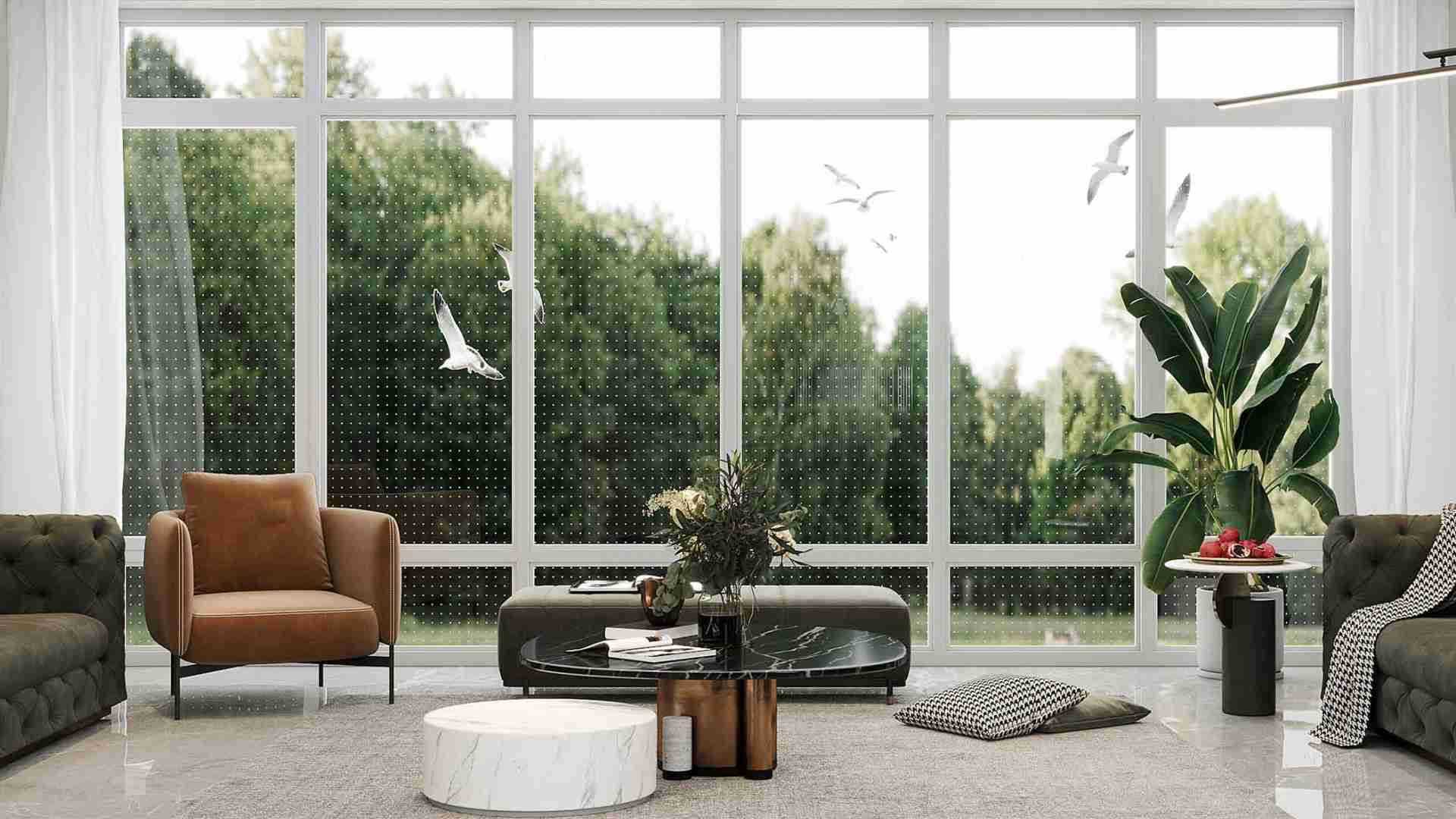 Bird Friendly Glass Window