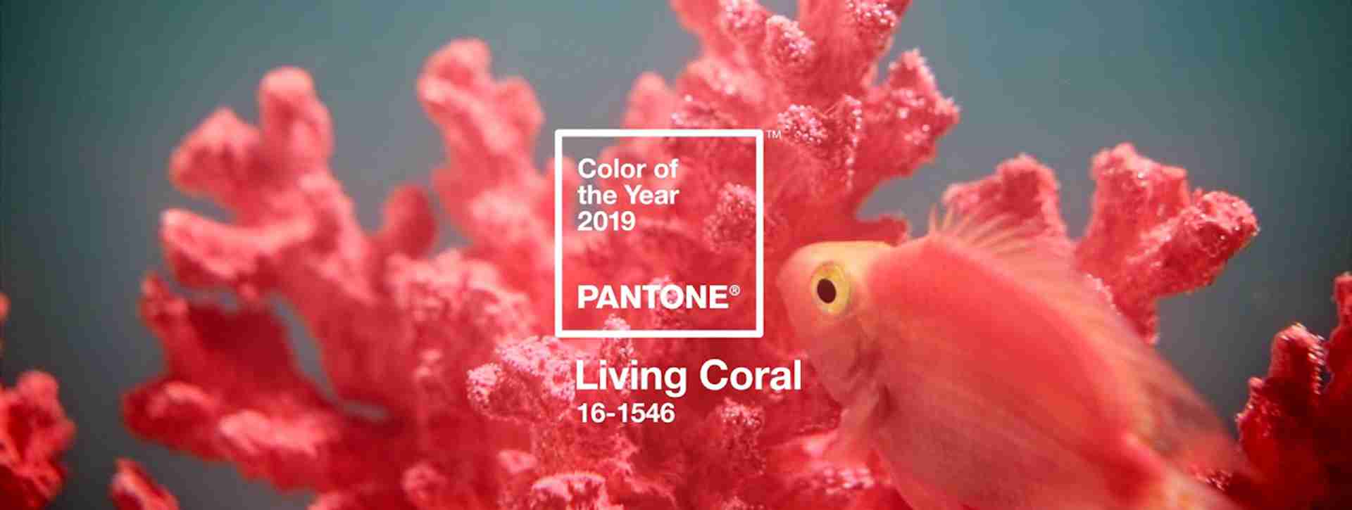 hero living coral